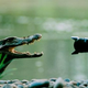 How to be a professional photographer 4